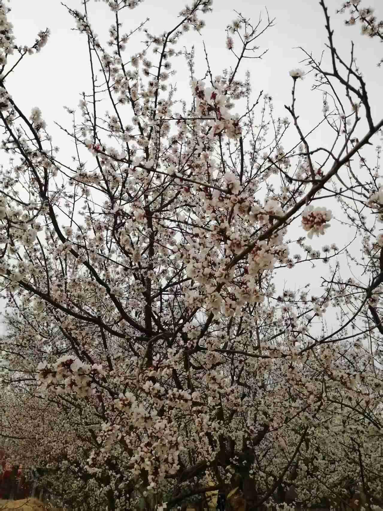 我的今日状态：💰期待暴富
我这里的天气：🍂微风