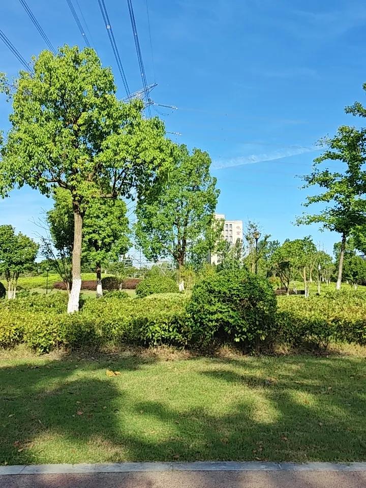 降压药、降糖药，其实都治不了根！真正救命的，是你身上这3个“养生开关”

人过五