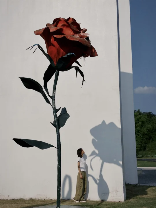在成都，找到了小王子的玫瑰花🌹