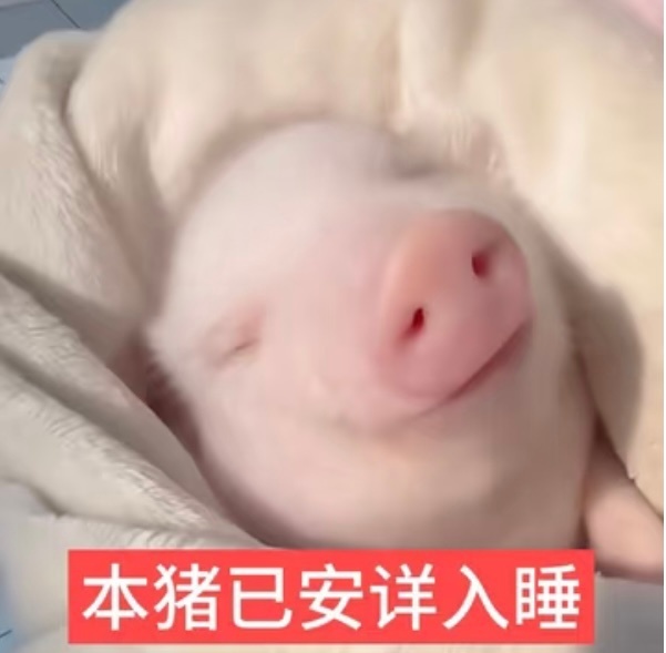 睡觉觉晚安 