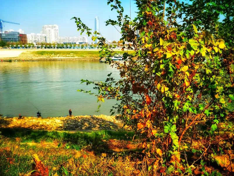 叶落秋江寂，
风来客梦凉。
故人音信远，
何处觅潇湘