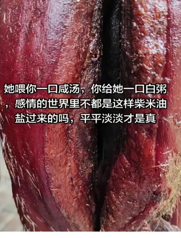 〔欣赏图片〕图中画面是大自然馈赠的，太神奇了。大树也有神奇之处的。了不起啊！我爱