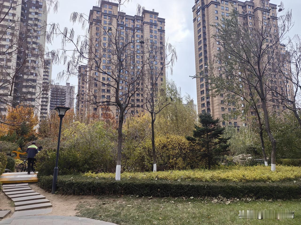 手机震动响起时，陈峰正盯着冰箱里最后一排饺子发呆。

凌晨一点十七分，屏幕显示“