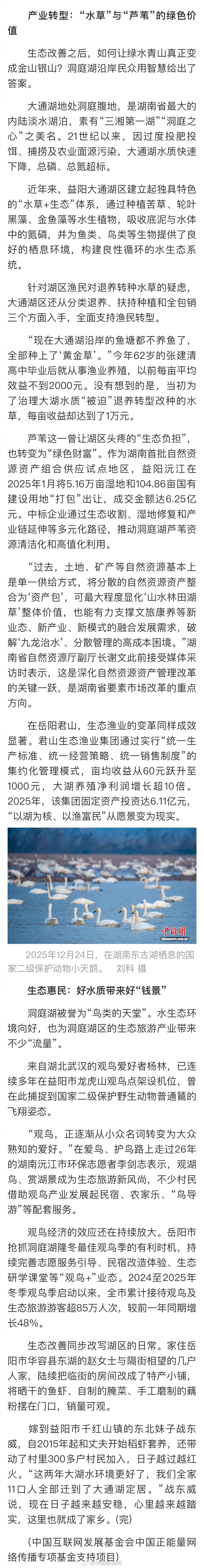 长江十年行【洞庭湖捕鱼人化身护渔人】湖南南洞庭湖省级自然保护区，曾经的“捕鱼人”