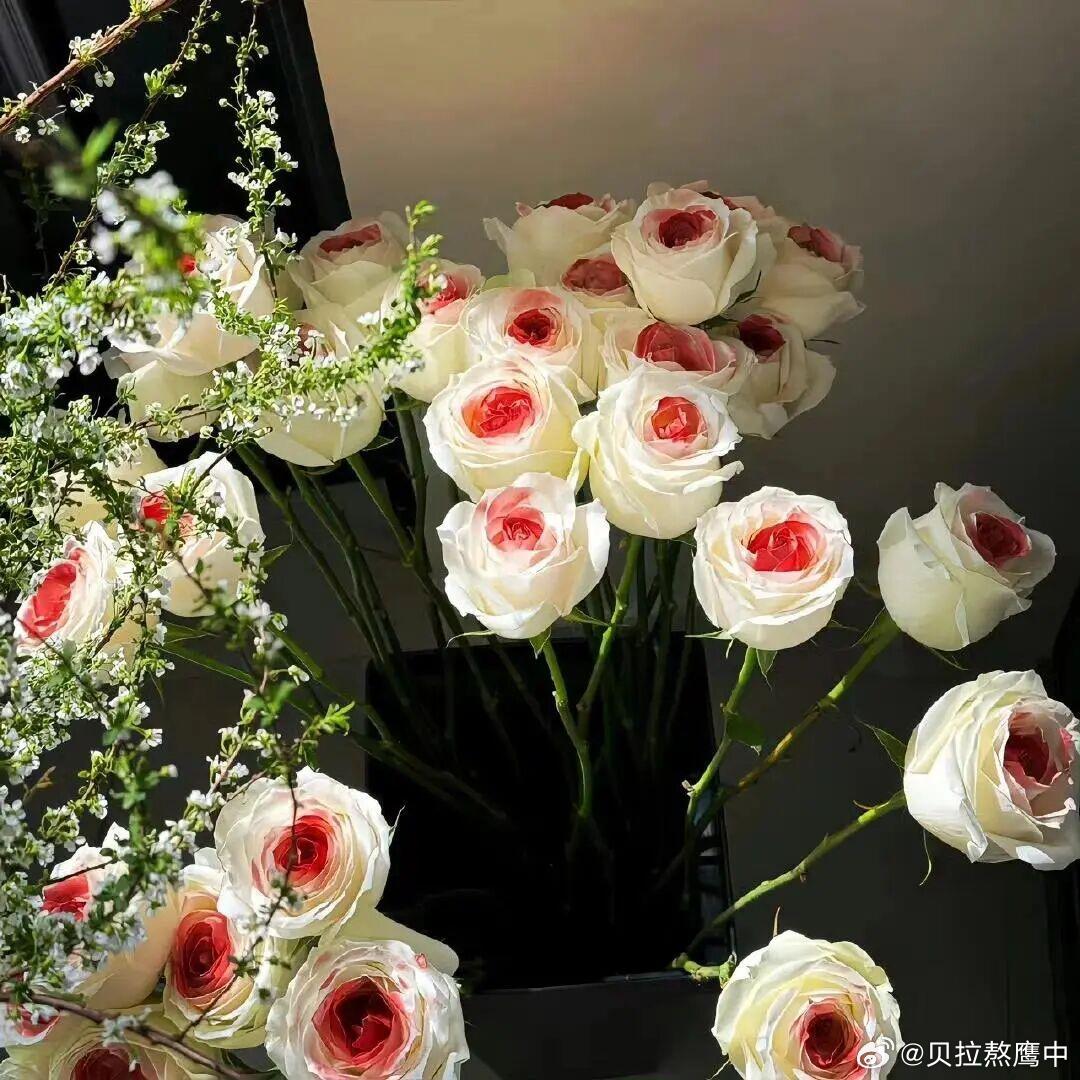 阳光信用 心中要明白，要开悟，才会有求必应。人与人之间，平淡中见真情，做人是心与