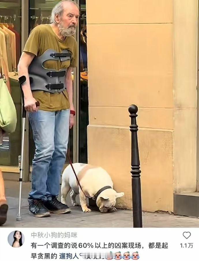 养狗人不语，只是一味的共鸣