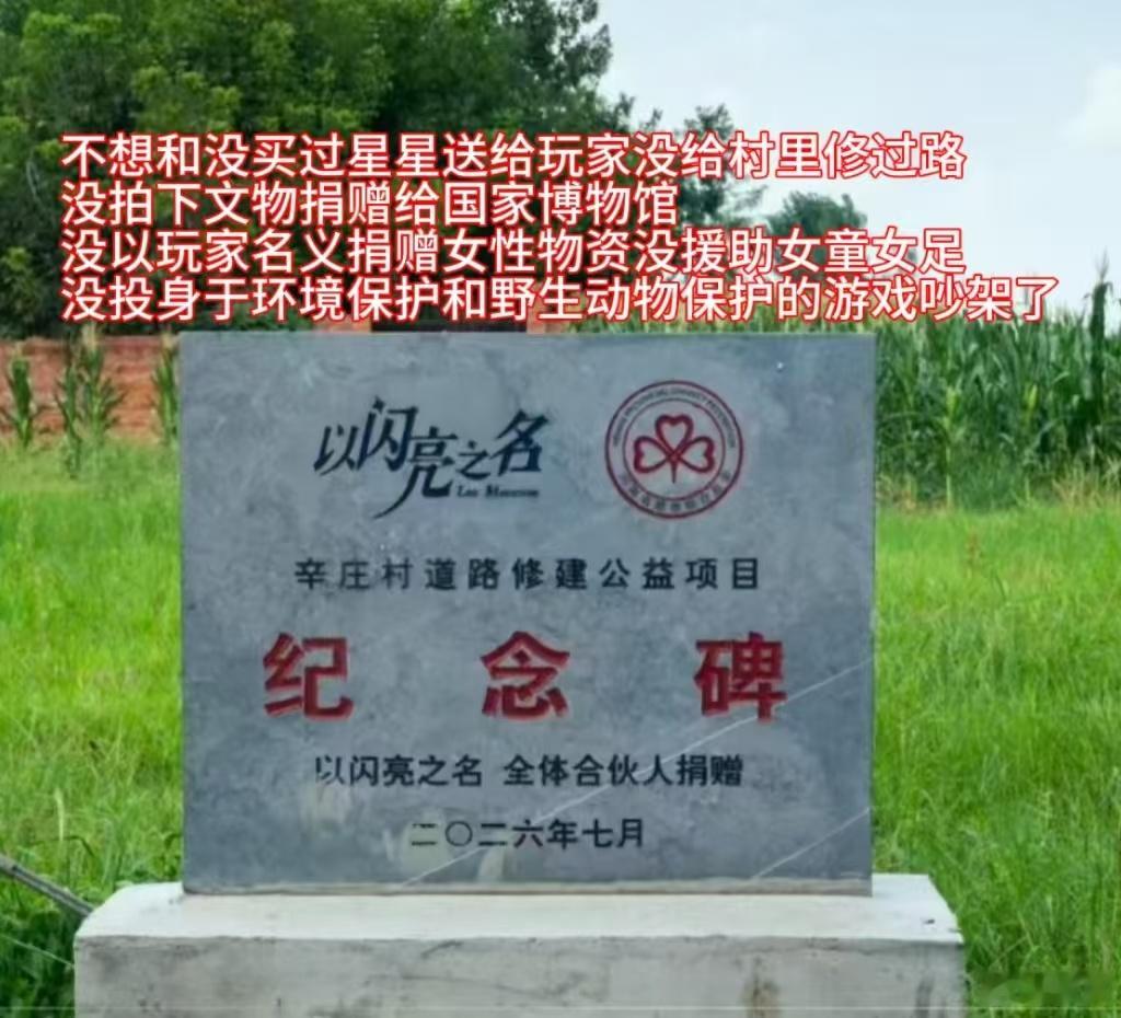只知道以闪根正苗红！以闪亮之名