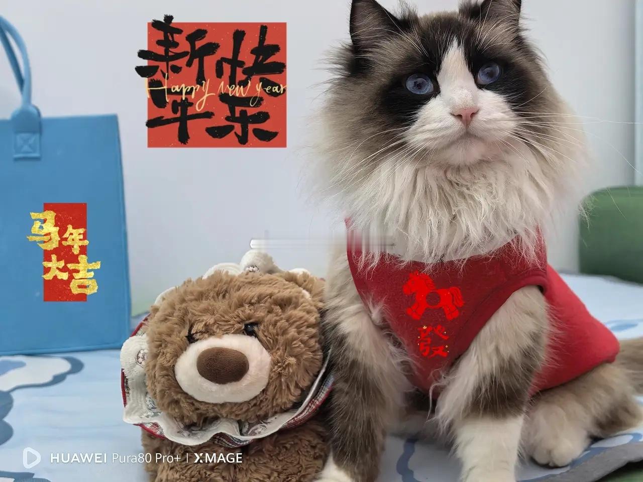 我家多米提前给各位老师们拜年啦！祝大家：马上暴富、多金多福01股市是个很神奇的地