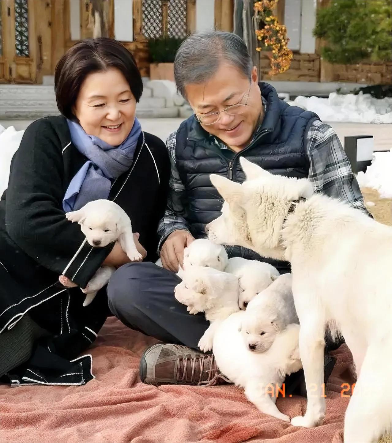 这是韩国前总统文在寅退休后与夫人金正淑在老家的退休生活，和自己的宠物狗玩耍。