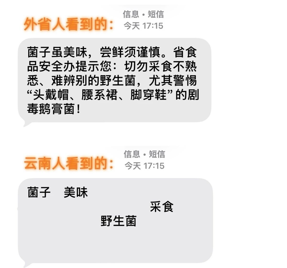 云南人新赛季的菌子致幻故事会开始了