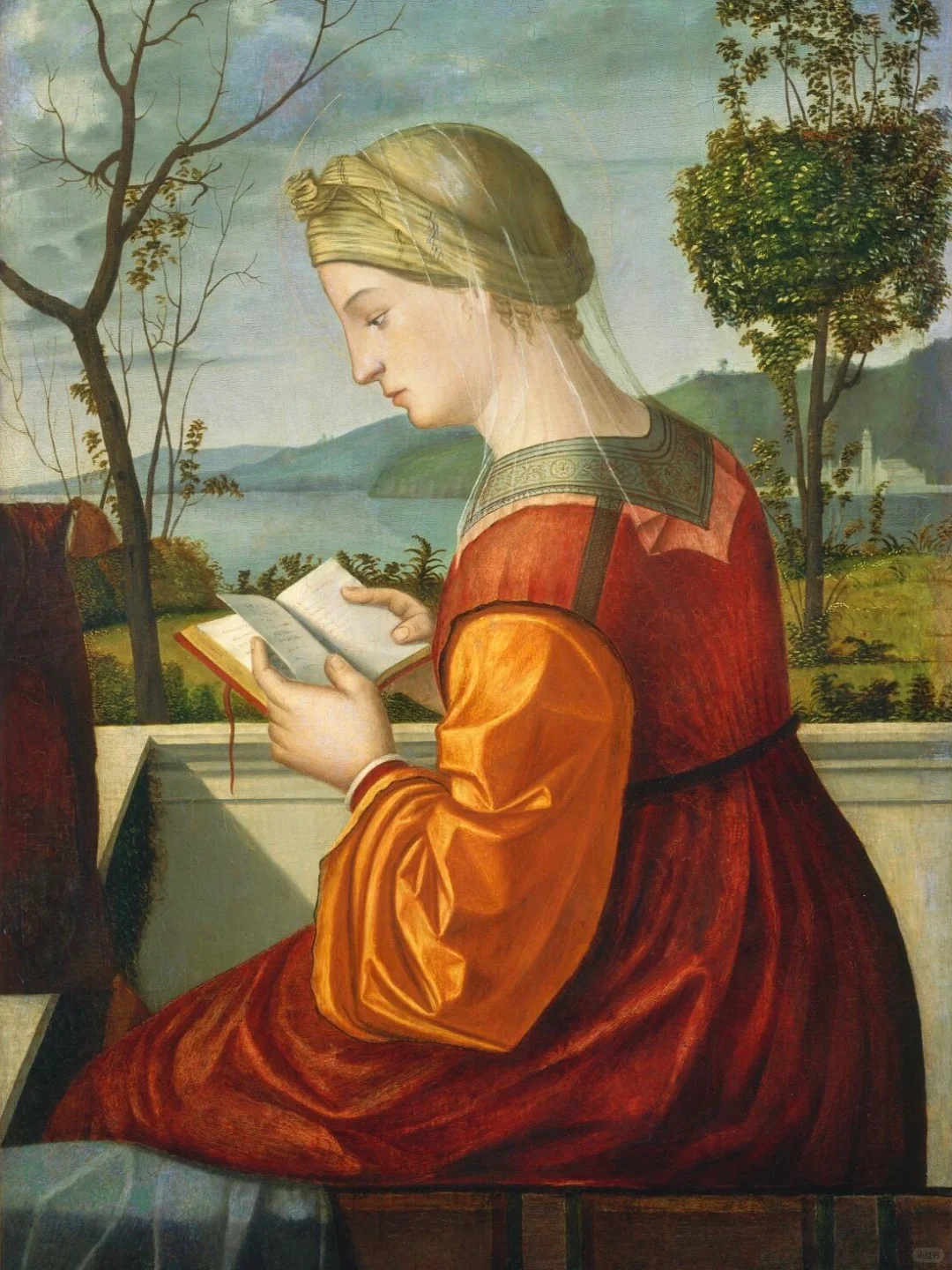 艺术家分享丨Vittore Carpaccio💫