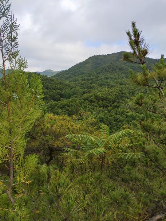 自然风光探索 山野自然之美 自然美景探索 山上的风景 徒步丈量世界遇见自然的美