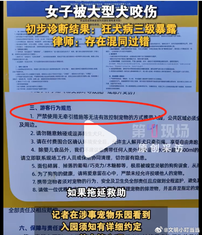 【监控曝光！深圳一女子在宠物乐园遭大狗撕咬】狗，出了自家门，就要把牵引绳栓牢。外