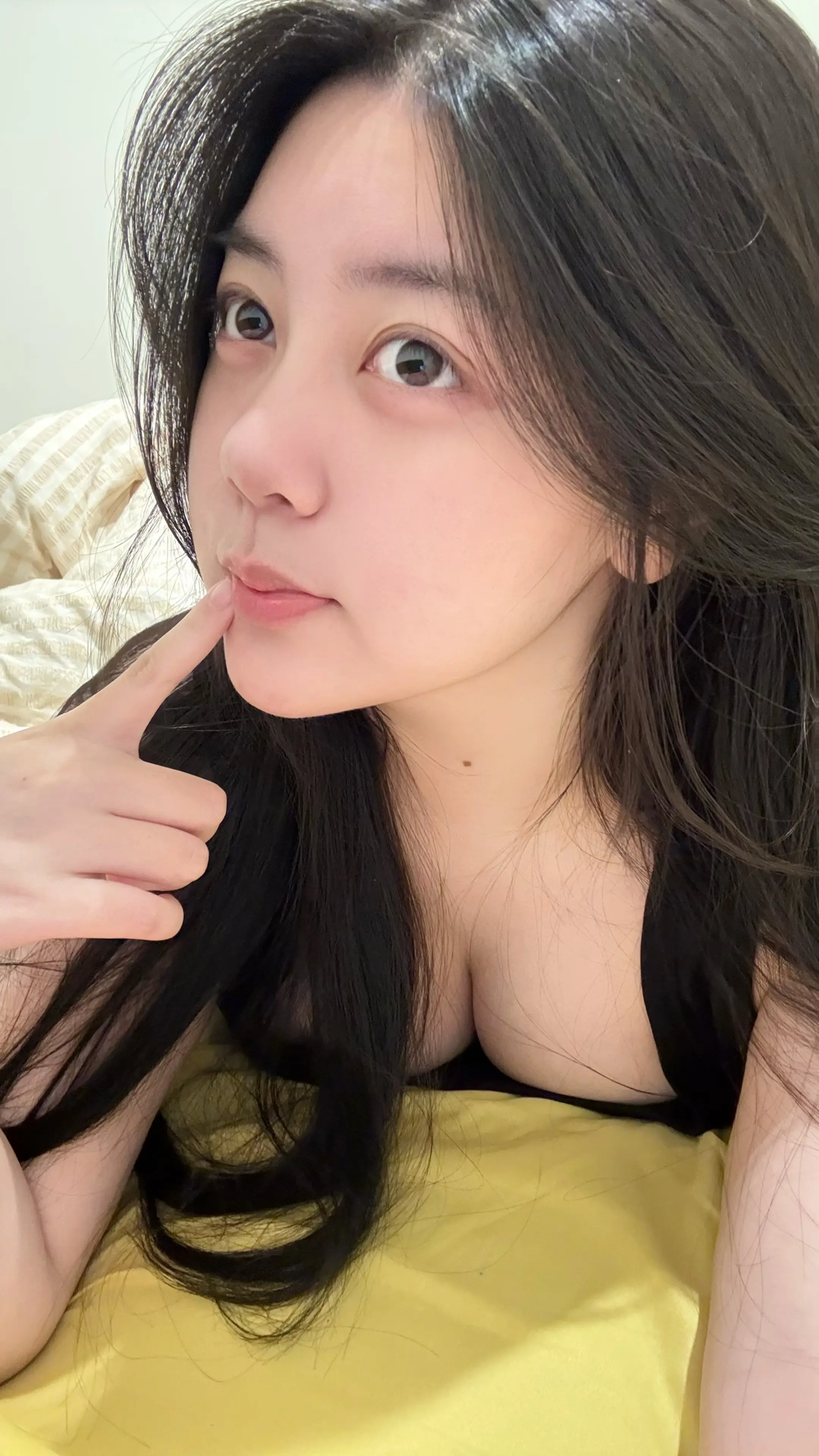 不能飞悉尼就滚 谁愿意陪你网恋 能飞悉尼也滚 我在墨尔本