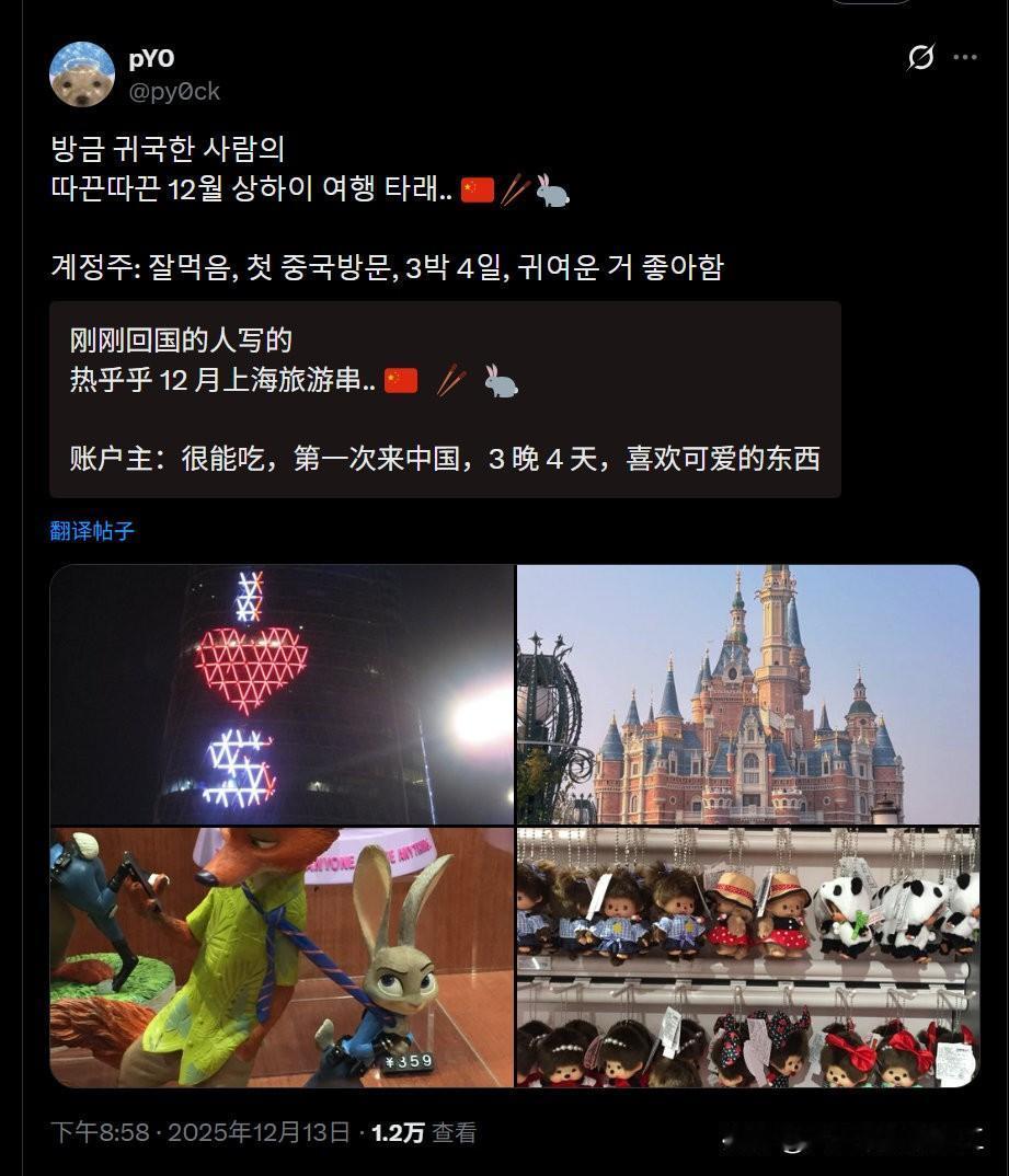 网友分享，一个韩国游客的典型上海之旅！（模板化）