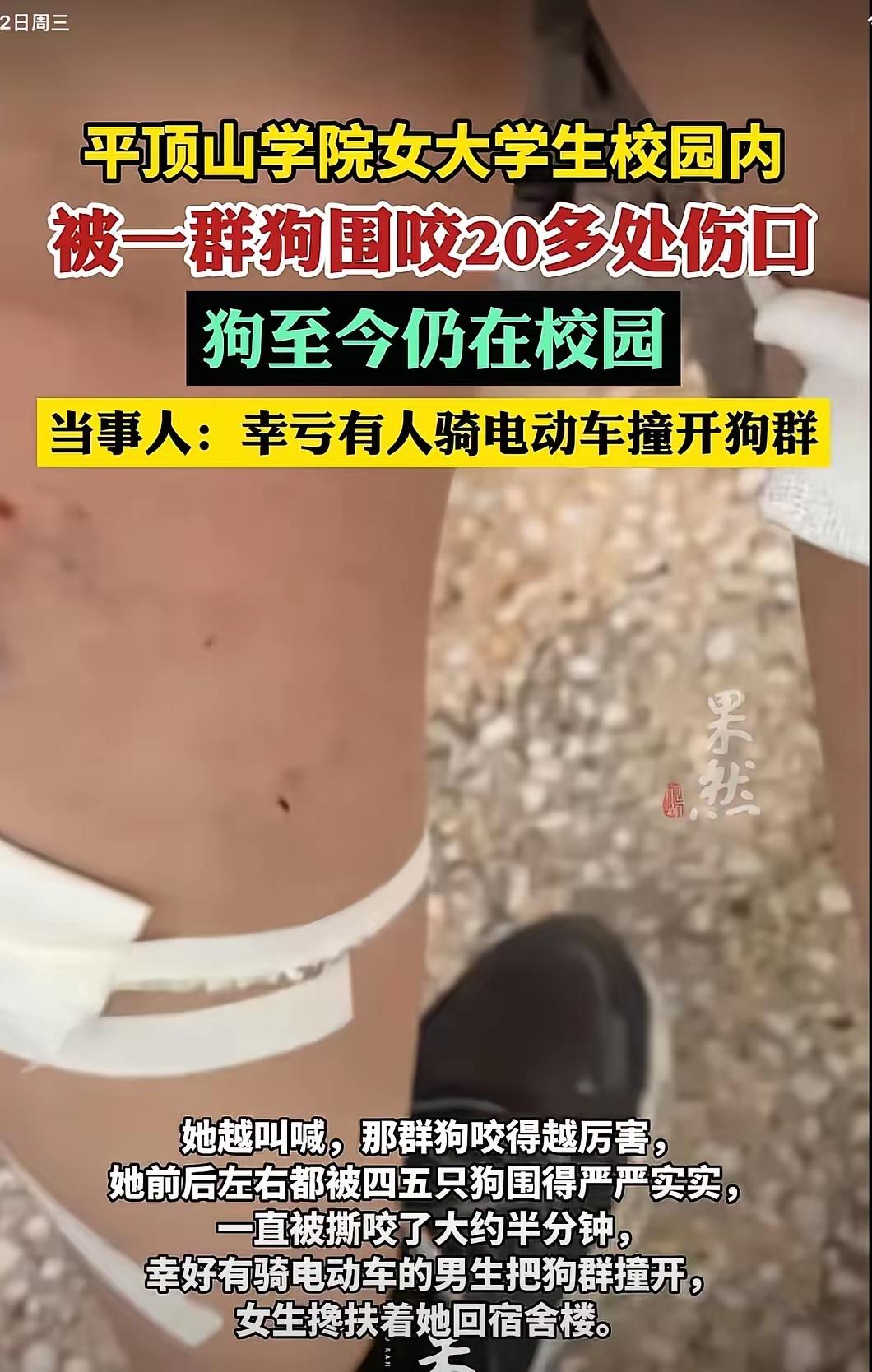 河南平顶山学院这事儿太吓人了！4月19号晚上10点半左右，文学院大三学生小高步行