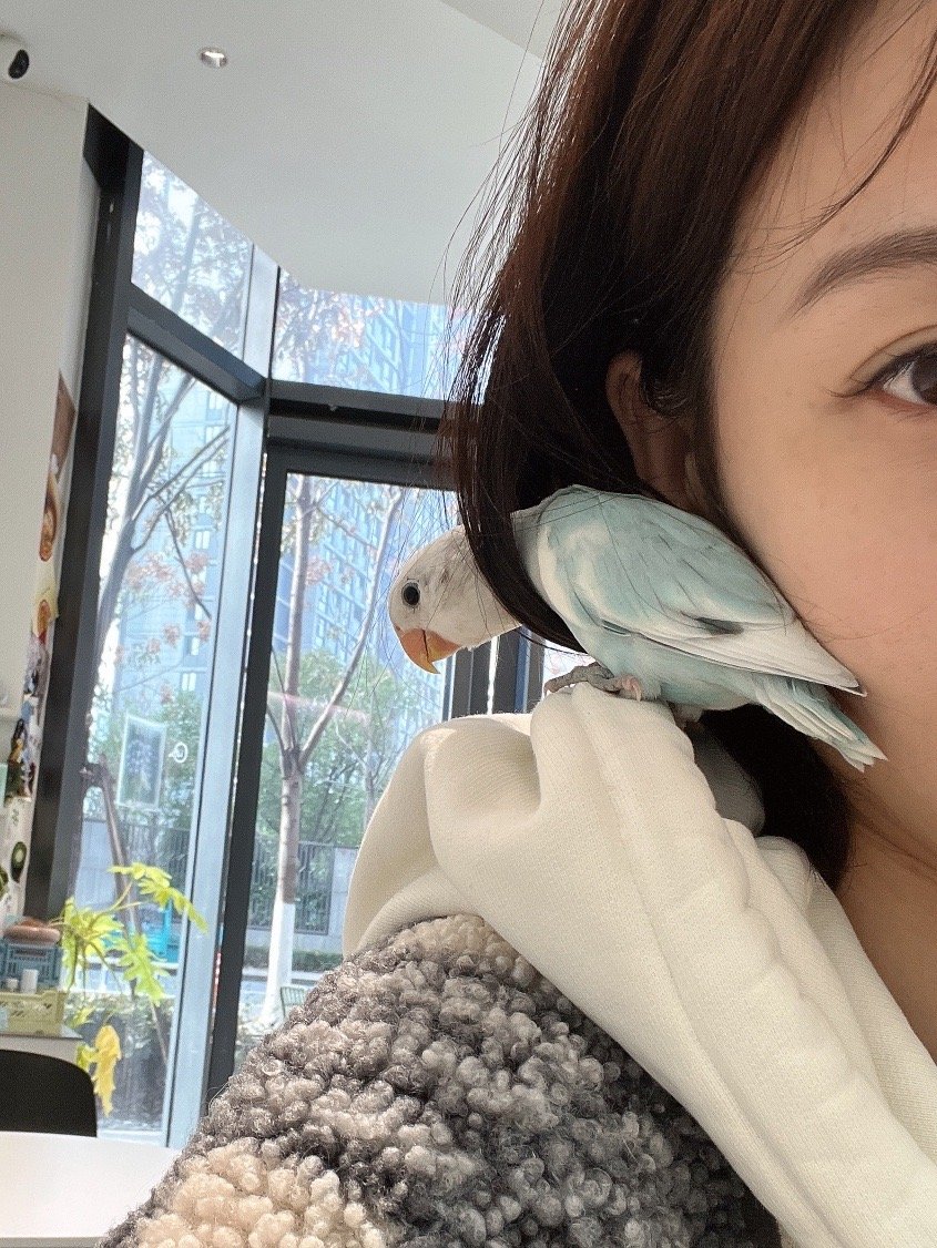 给大家看下我的小鸟依人#我家有宠初长成#  ​​​