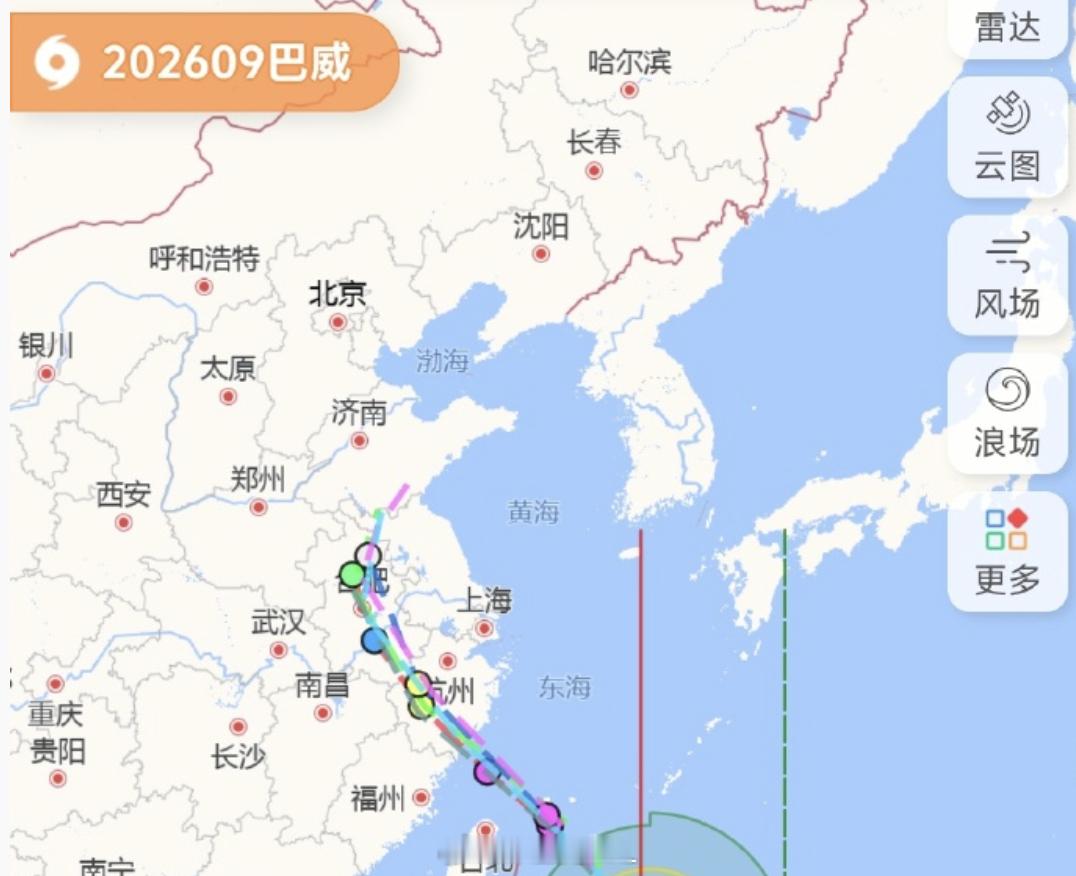 上海台风 上海的风呼呼的刮，台风还没来都这么大了 