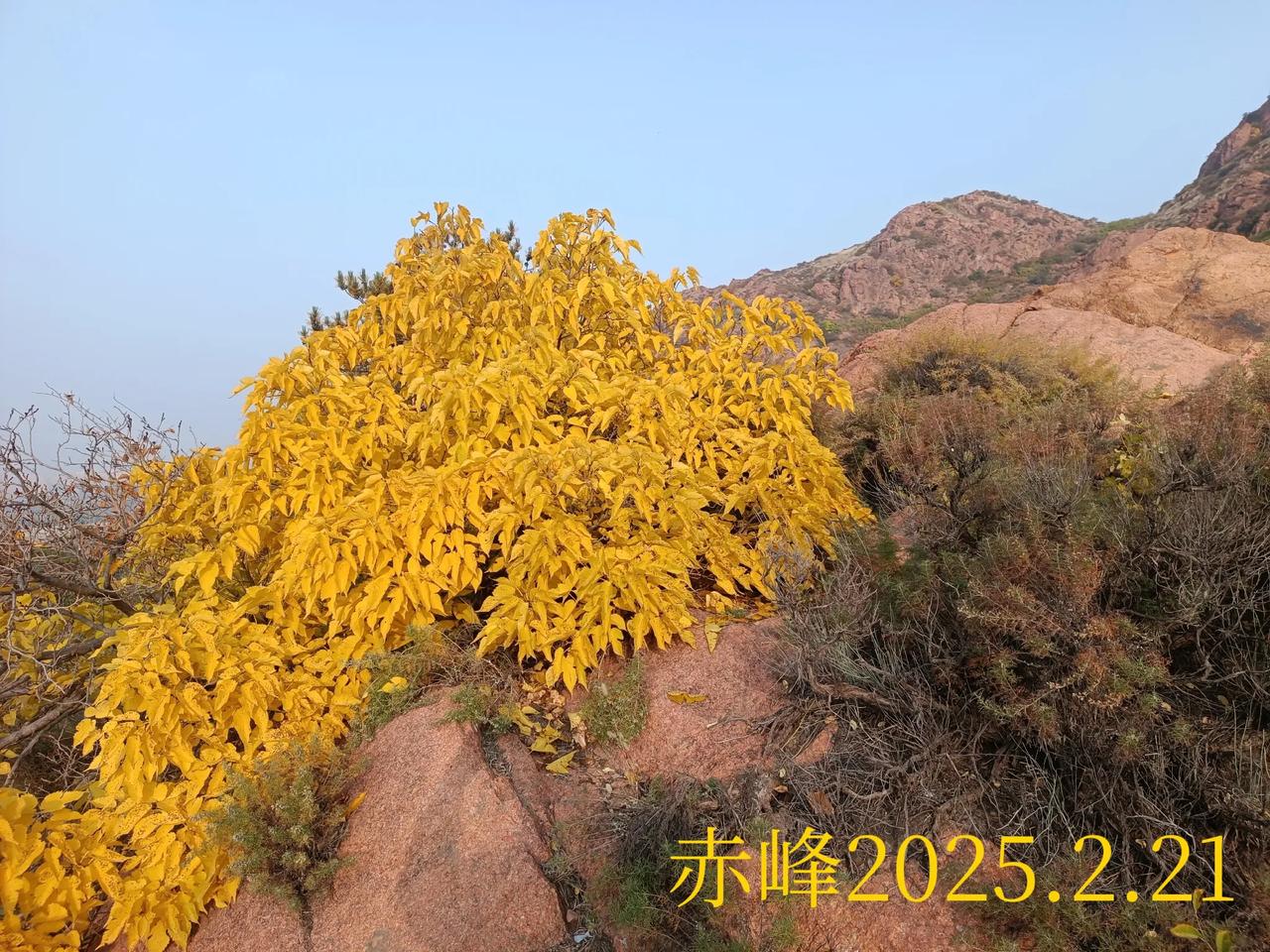 一路山色，随手拍一张风景照路边随拍，山间美景。