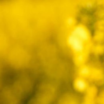 正能量不计得失，方可内心笃定，眼界开阔，从而跳出眼前的苟且，容人所不能容，忍人所