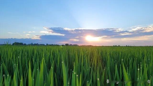 “田”有田地、田园之意，象征着踏实、质朴。“荣”代表繁荣、荣耀，寓意积极向上。“