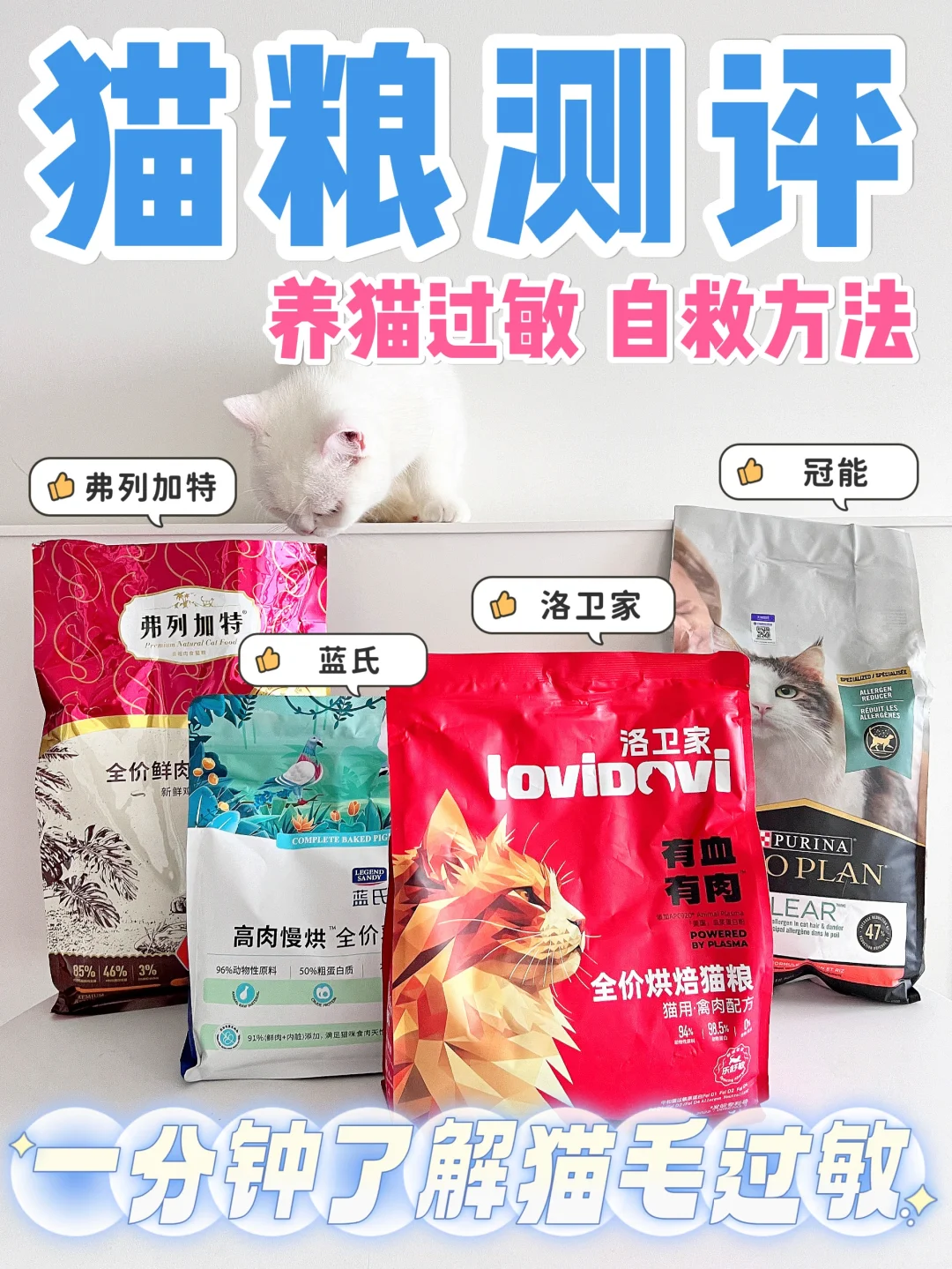 自用猫粮分享测评！帮你解决选粮纠结症
