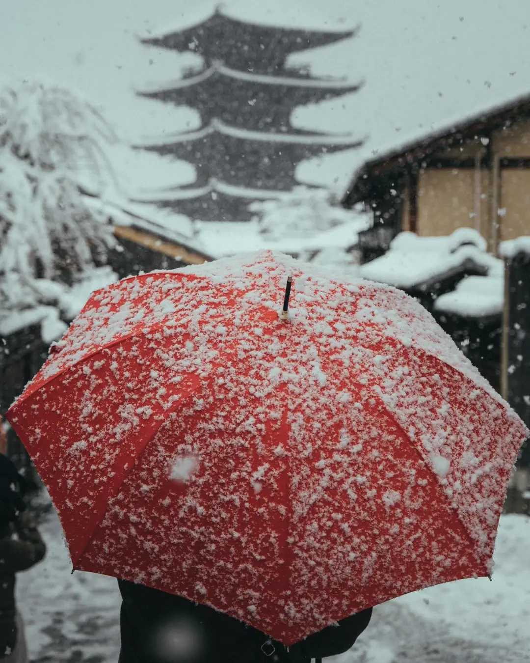 “暴雪过后的京都”