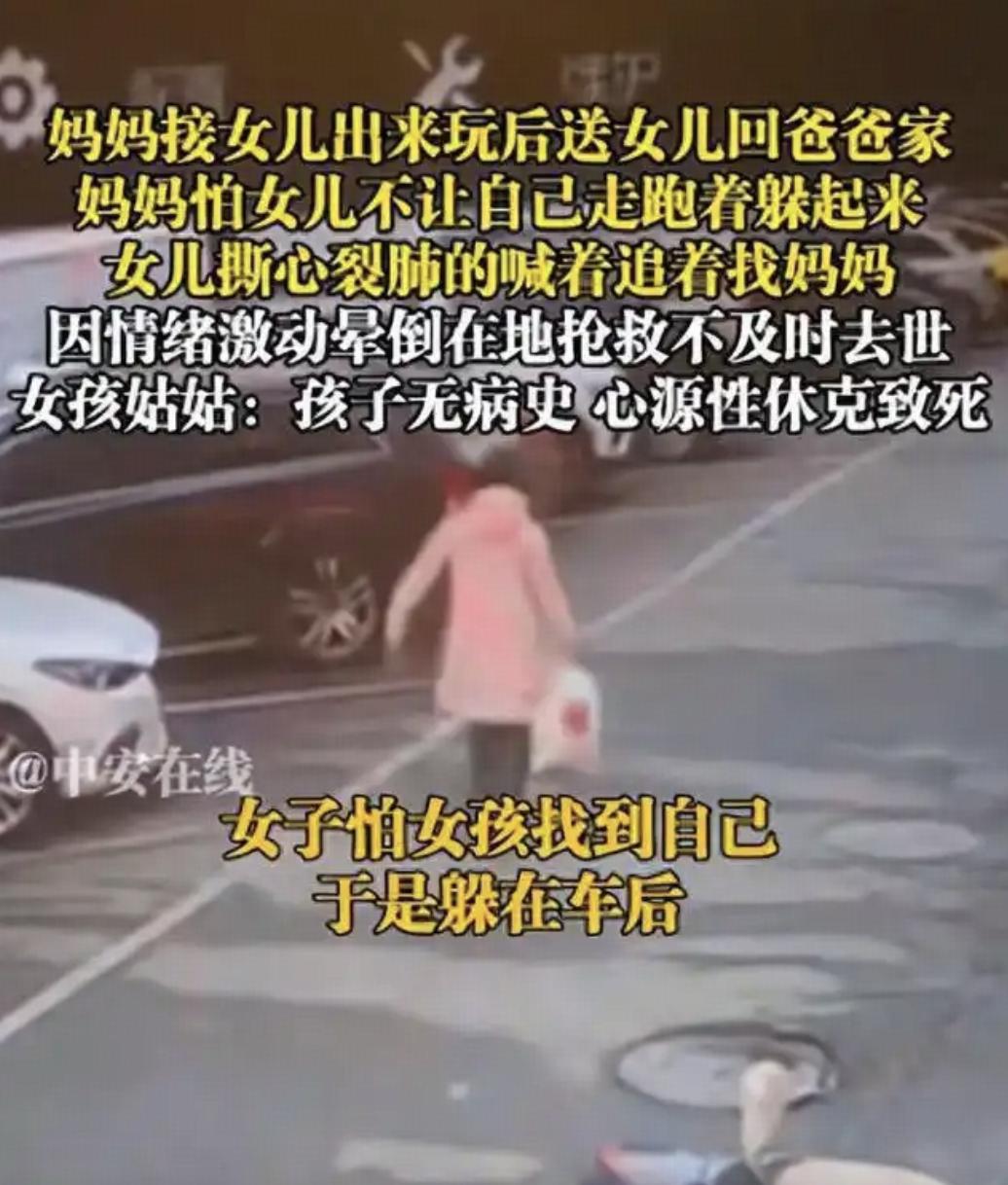 怎么看待湖南9岁女孩被妈妈送回前夫家后，在追赶妈妈过程中摔倒不幸离世？
2026