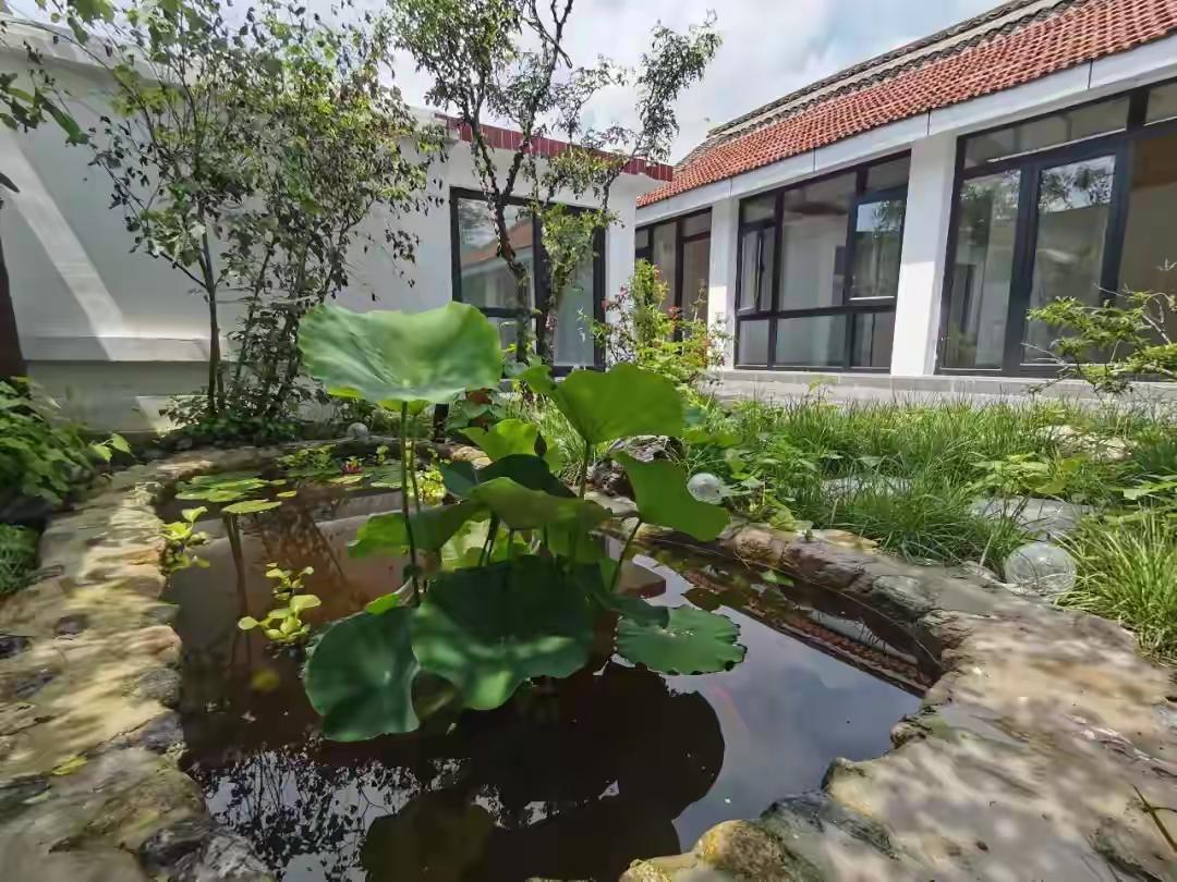 最近刷到一段《爸爸去哪儿》探班花絮，弹幕突然吵翻了。画面里王宝强看马蓉的眼神，满