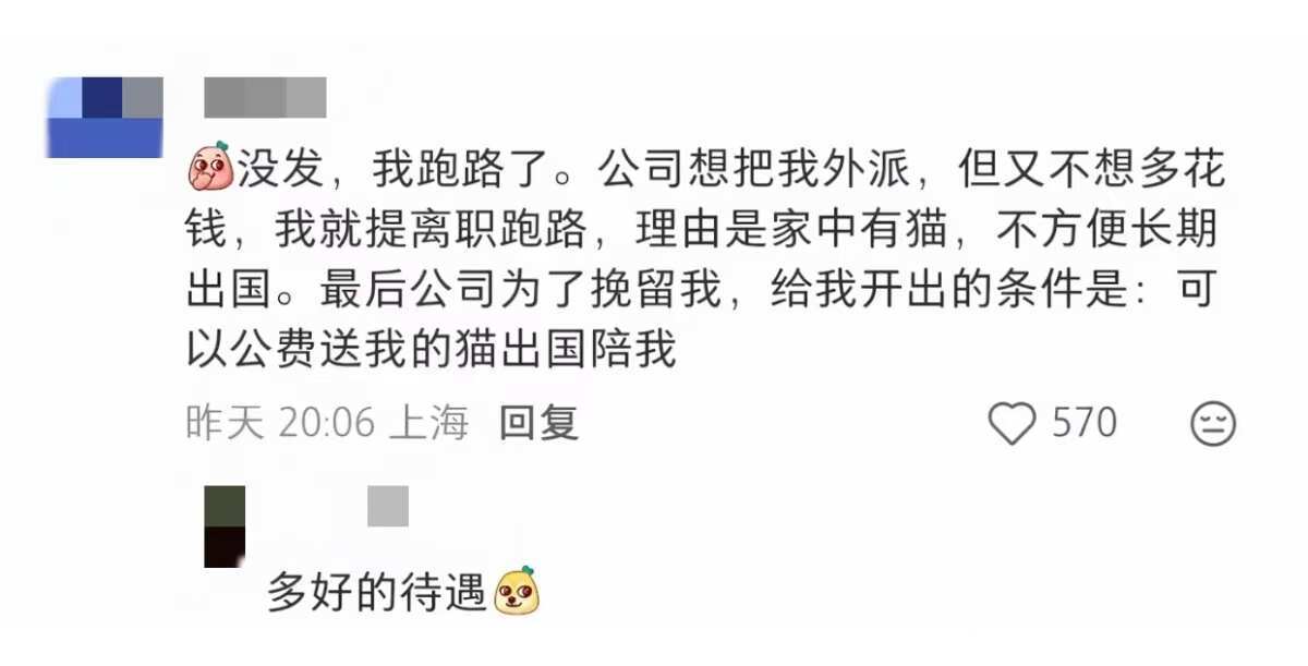 什么样的公司不能去？