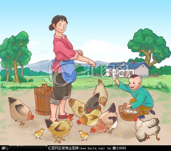 老娘养了十几只鸡，她能知道一天下几个鸡蛋。
还有更绝的……
70年代的农村，家家