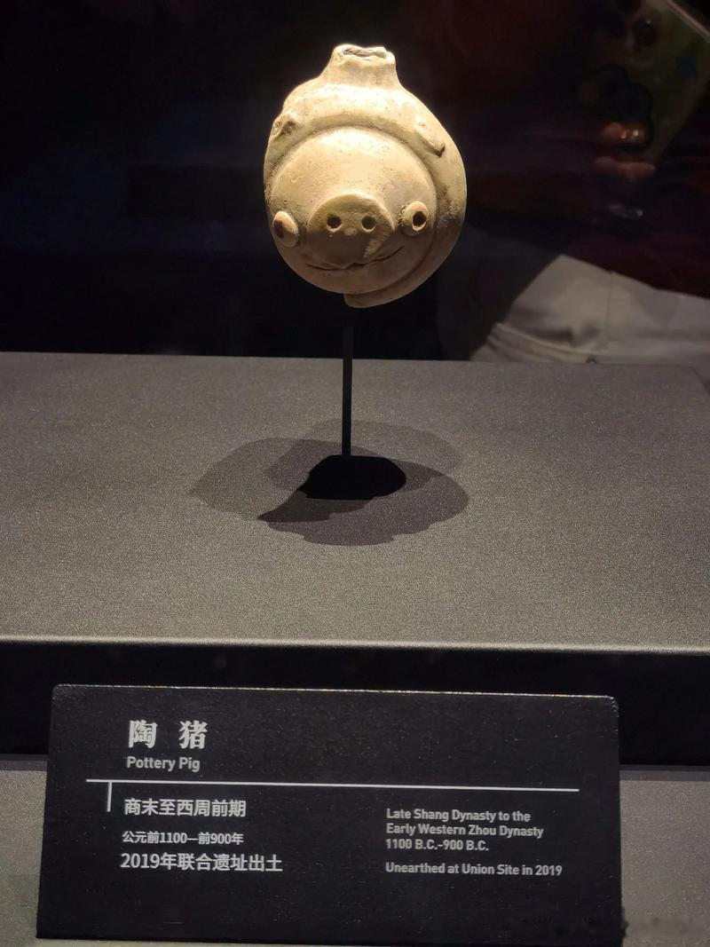 【陶猪】这件陶猪出土于广汉联合遗址，年代为商末至西周前期，距今三千余年。器物造型