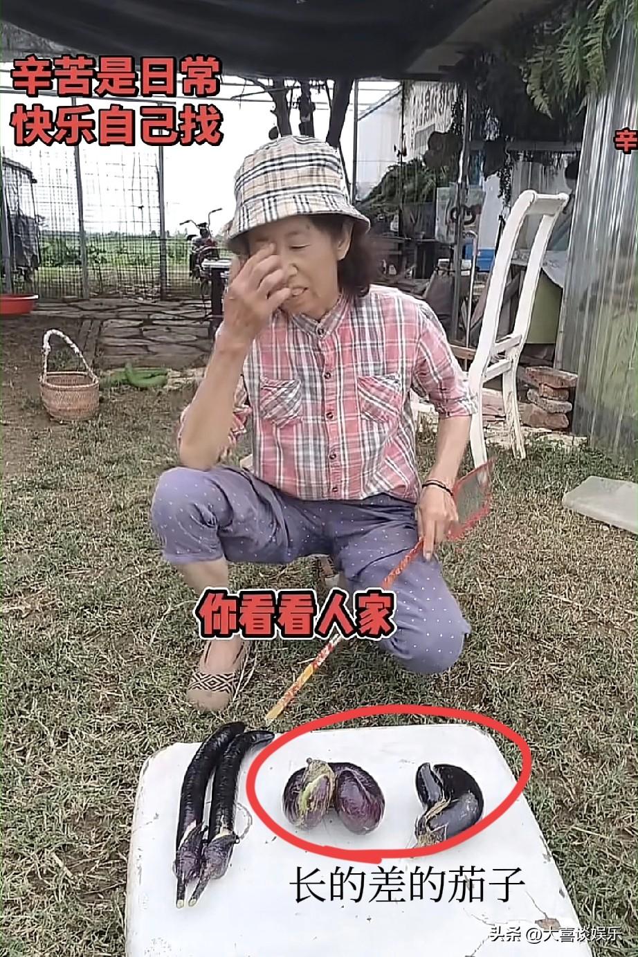 我有一种预感，
刘宁母亲在“指桑骂槐”
她发个视频，看着是骂茄子长的不好，
其实