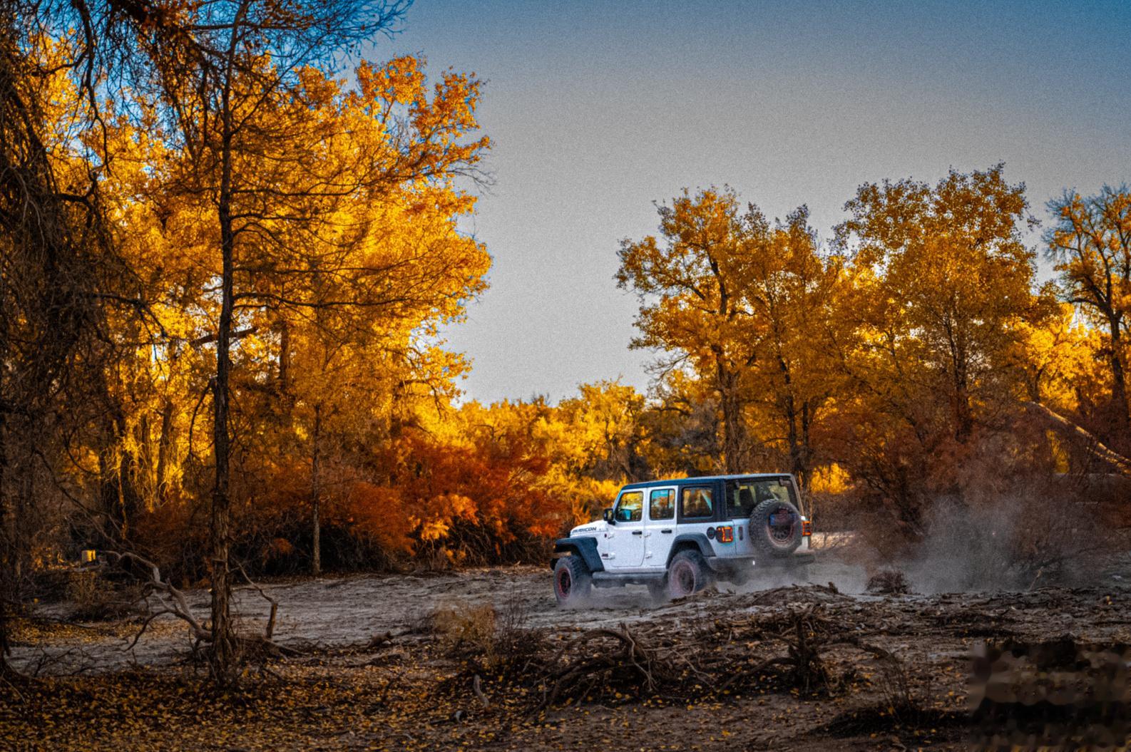 穿越 新疆｜巴州#大美新疆#  