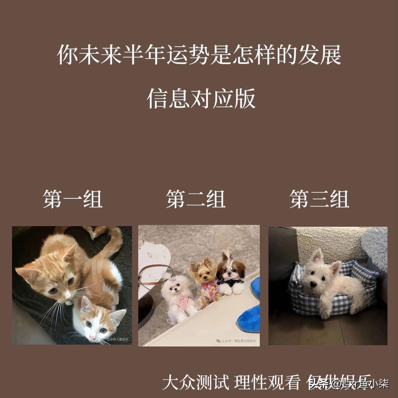 十万级大六座星光L真材好料你未来半年运势是怎样的发展