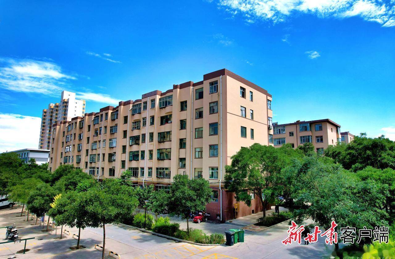 近日，记者在凉州区东大街南苑园区小区看到，地下管网改造、路面地砖铺设、绿化带围栏