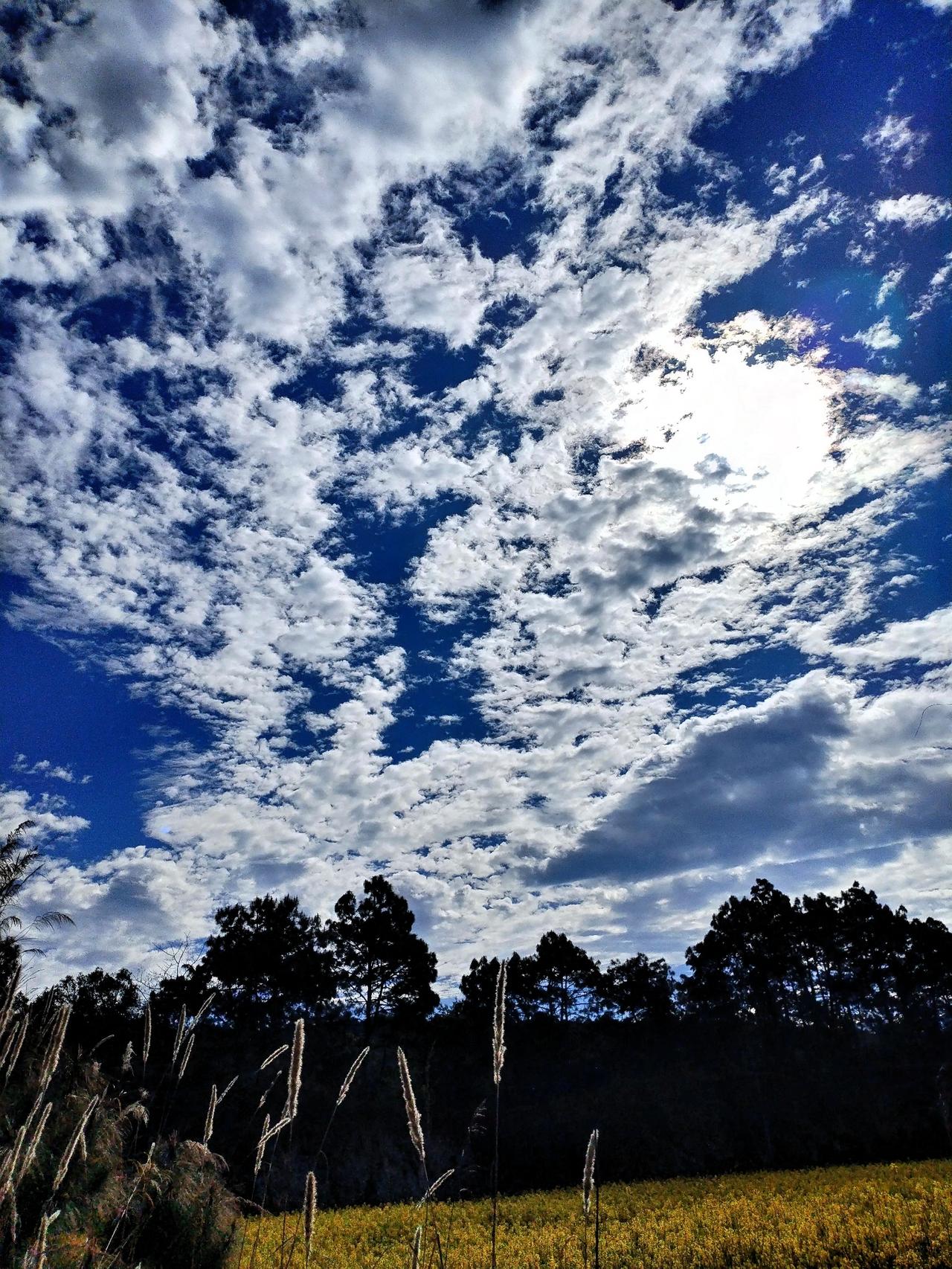 阳光洒满田野，云朵飘在蓝天，美好一天的开始。站在田野边，微风轻拂脸颊，带来泥土与