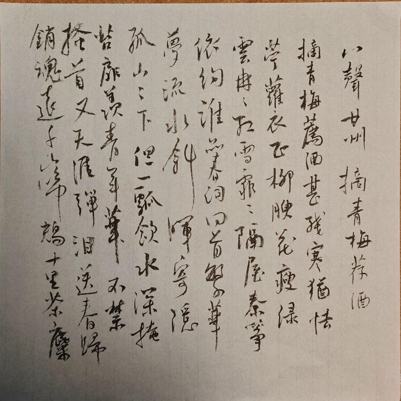 摘青梅荐酒，甚残寒，犹怯苎萝衣。正柳腴花瘦，绿云冉冉，红雪霏霏。隔屋秦筝依约，谁