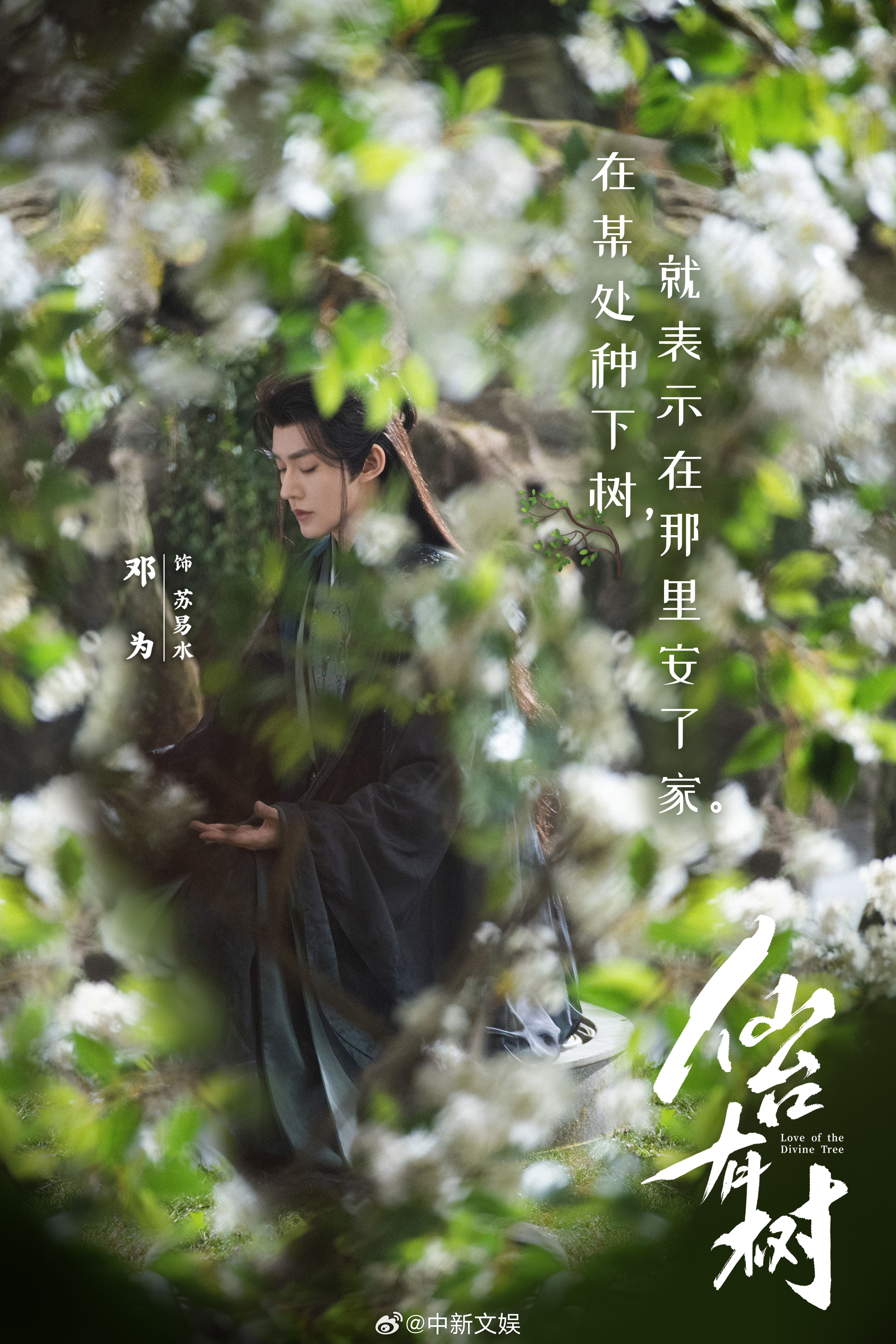 一剧早安“在某处种下树，就表示在那里安了家。”早哇家人们，你还记得《仙台有树》里