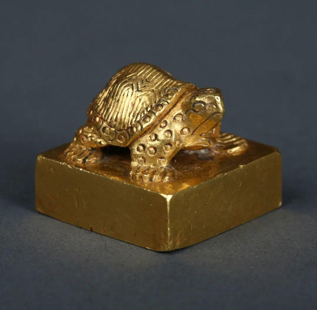 1954年，一位药农在秦岭采药，忽然感觉背面冷风悠悠，原来一只野狼暗中尾随。药农