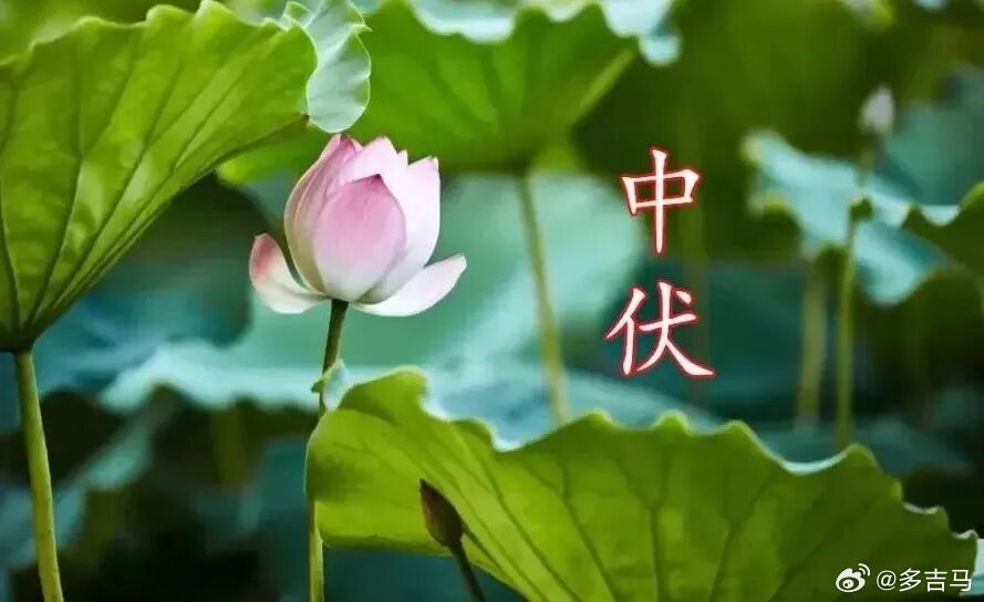 "科班的童伶宜于唱全本的大武戏，中年的演员才能担得起大出的轴子戏，只因他到中年才