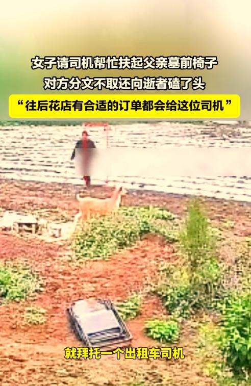 善意无声，自有万钧温柔。

长大后离开家乡的人，多半都藏着一份说不出口的身不由己