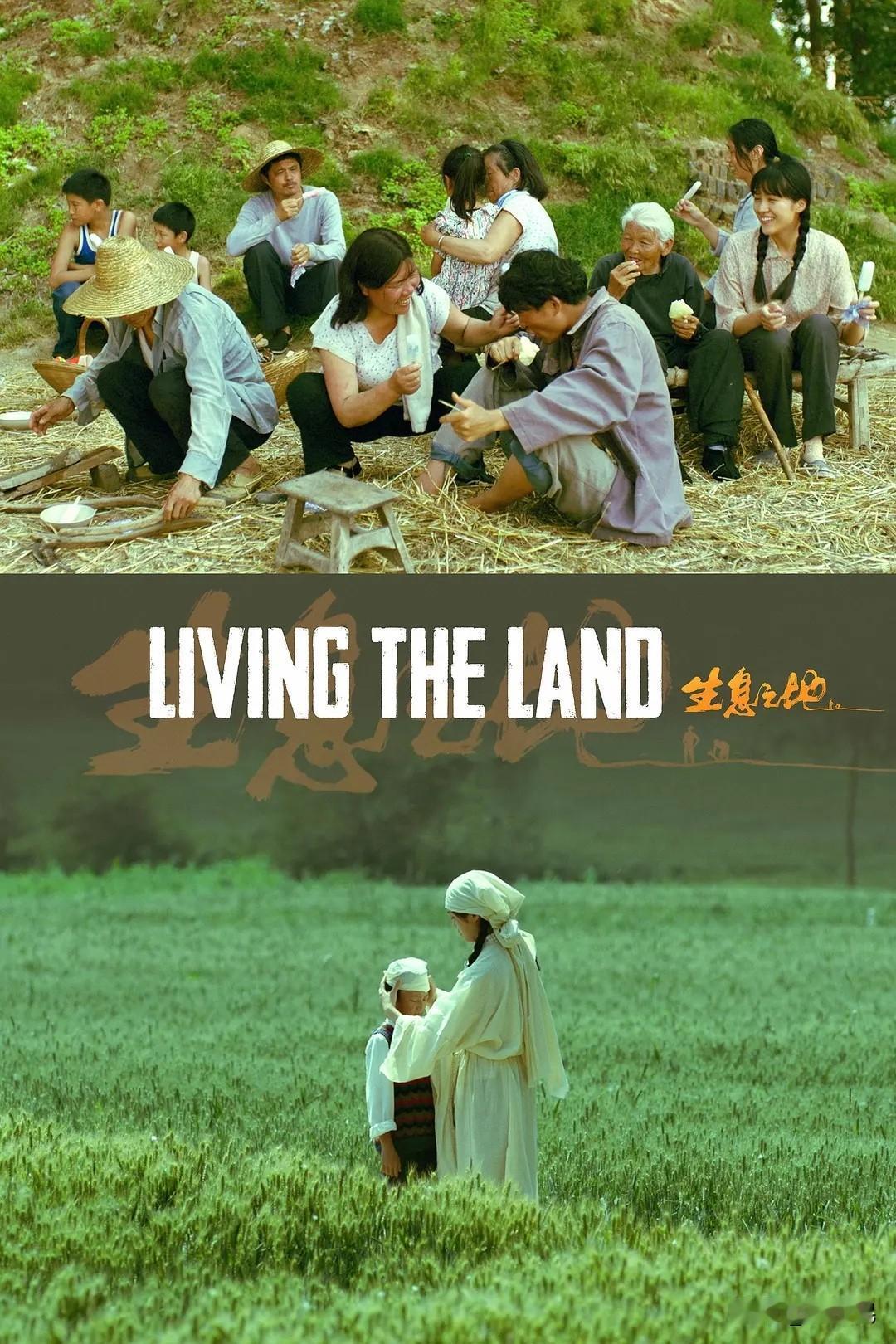 令我动容的是豫东农民对生与死的态度：没有什么人比他们更热爱生活了，但他们也坦然地