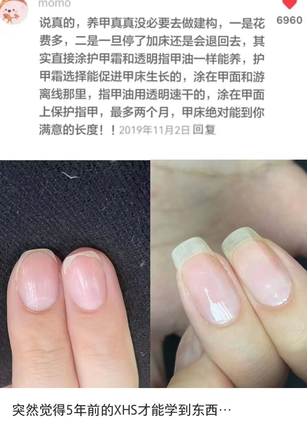 以前上网能学到的冷知识才是真东西！感觉现在的我强得可怕！ 