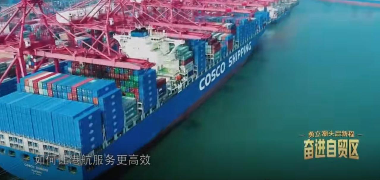 自贸试验区的港口内，中远海运的集装箱巨轮与上汽安吉的汽车滚装船并肩停靠，数千台国