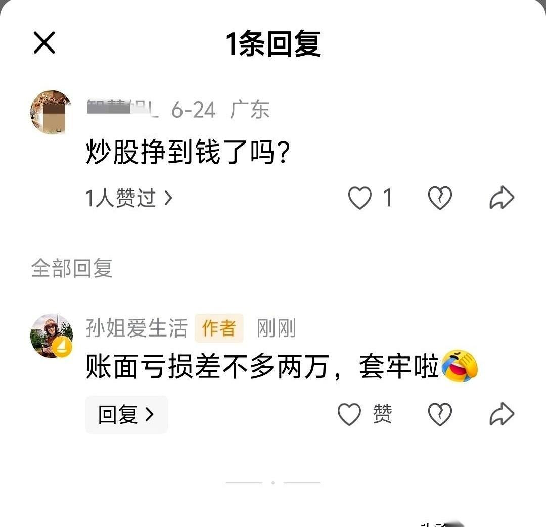 账面直接飘绿，两万块钱的数字就这么凭空蒸发了。四只股票，无一生还，全被死死钉在套