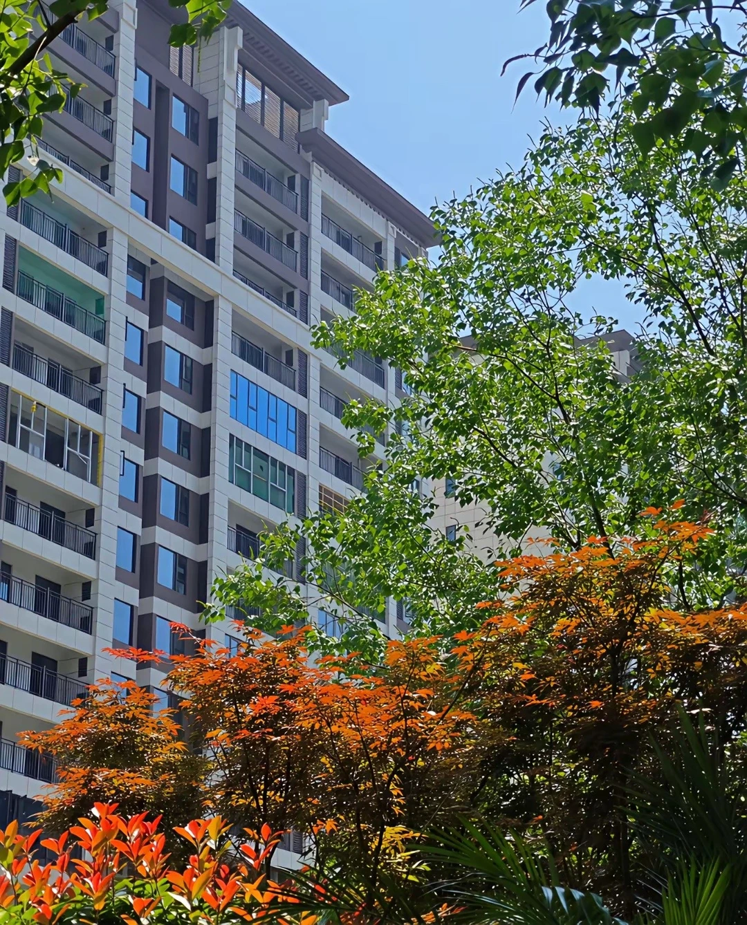 原拆原建来了🔥老破小彻底翻盘