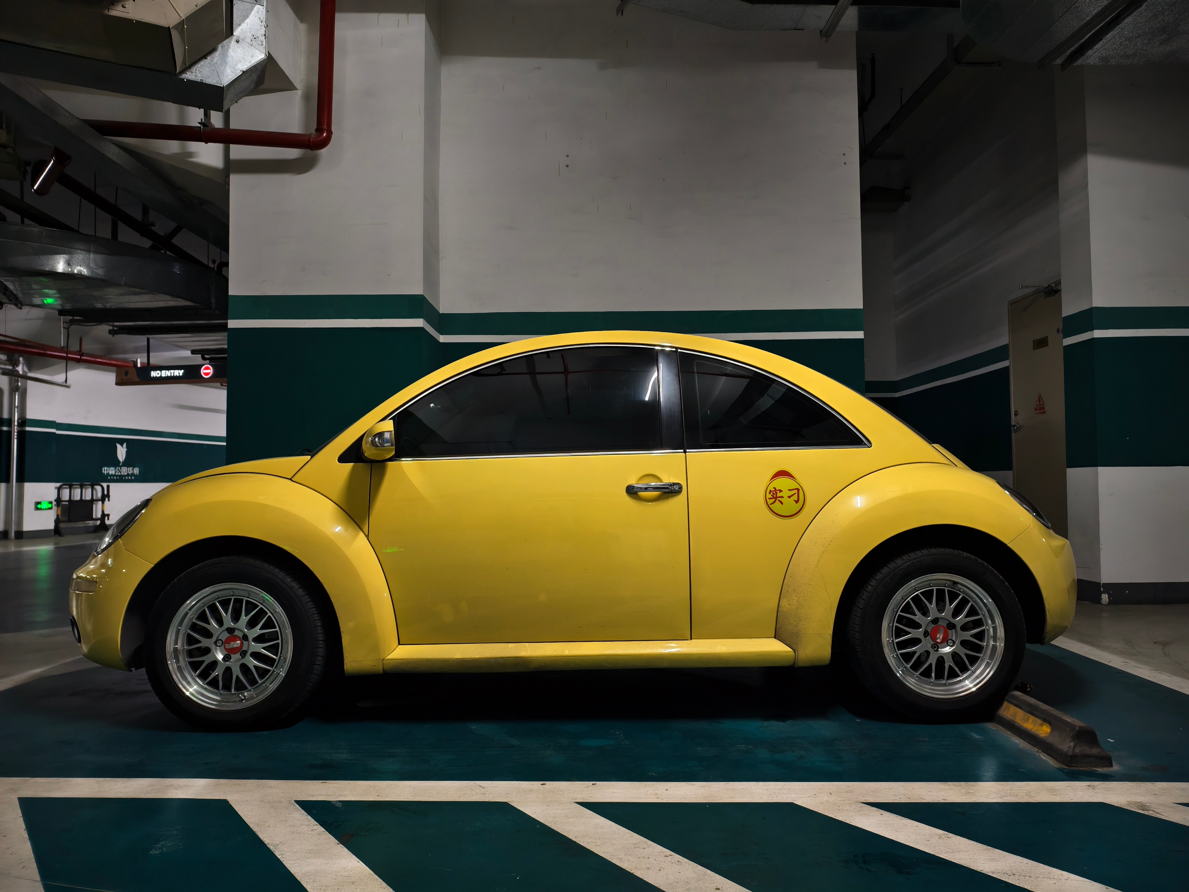 可惜了，今天洗车排队太离谱，没能给虫子洗白白 