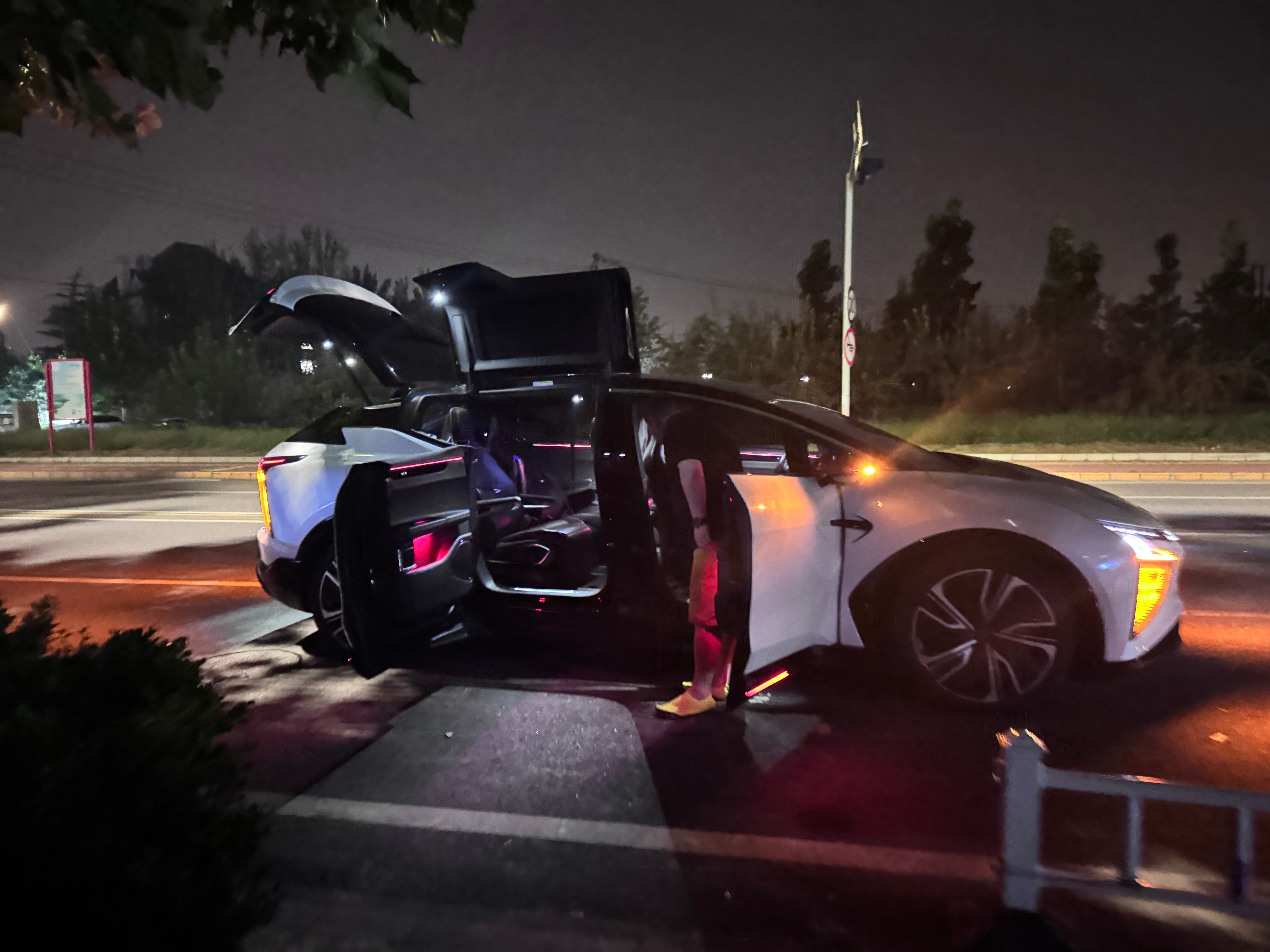 凌晨打宠物友好车竟然打到一辆高合。这个车的概念和 model x 很相似（后座很