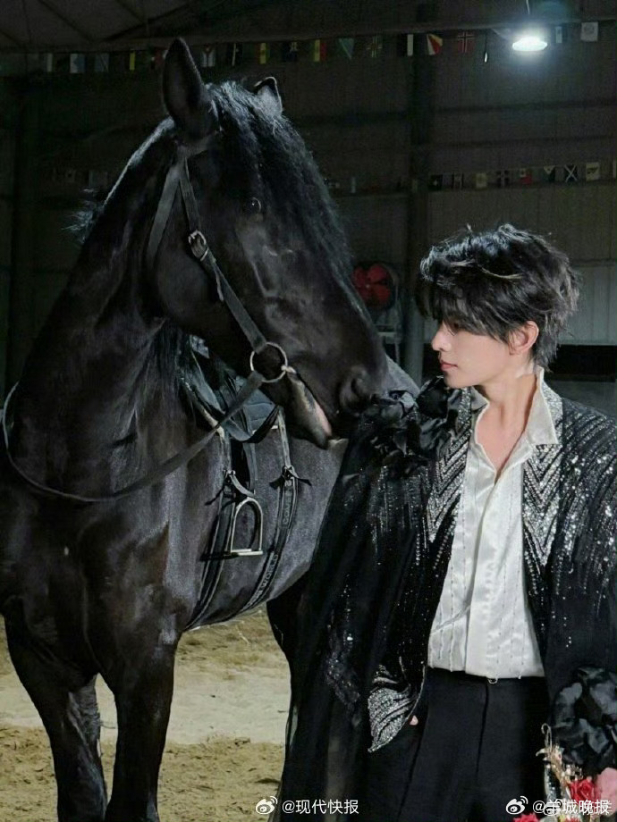 【#杨洋问你们的SBTI是什么#】4月10日，发执剑黑马照，并配文：“v变橙了 